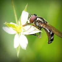 /album/trendy-by-me/photolia-a02-jpg/
