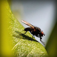 /album/trendy-by-me/photolia-a04-jpg/