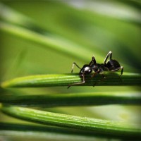/album/trendy-by-me/photolia-a05-jpg/