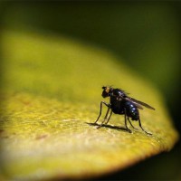 /album/trendy-by-me/photolia-a07-jpg/