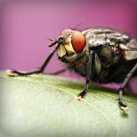 /album/trendy-by-me/photolia-a08-jpg/